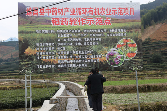 7fc10addd6484f0cb07253d768f82b12.jpg