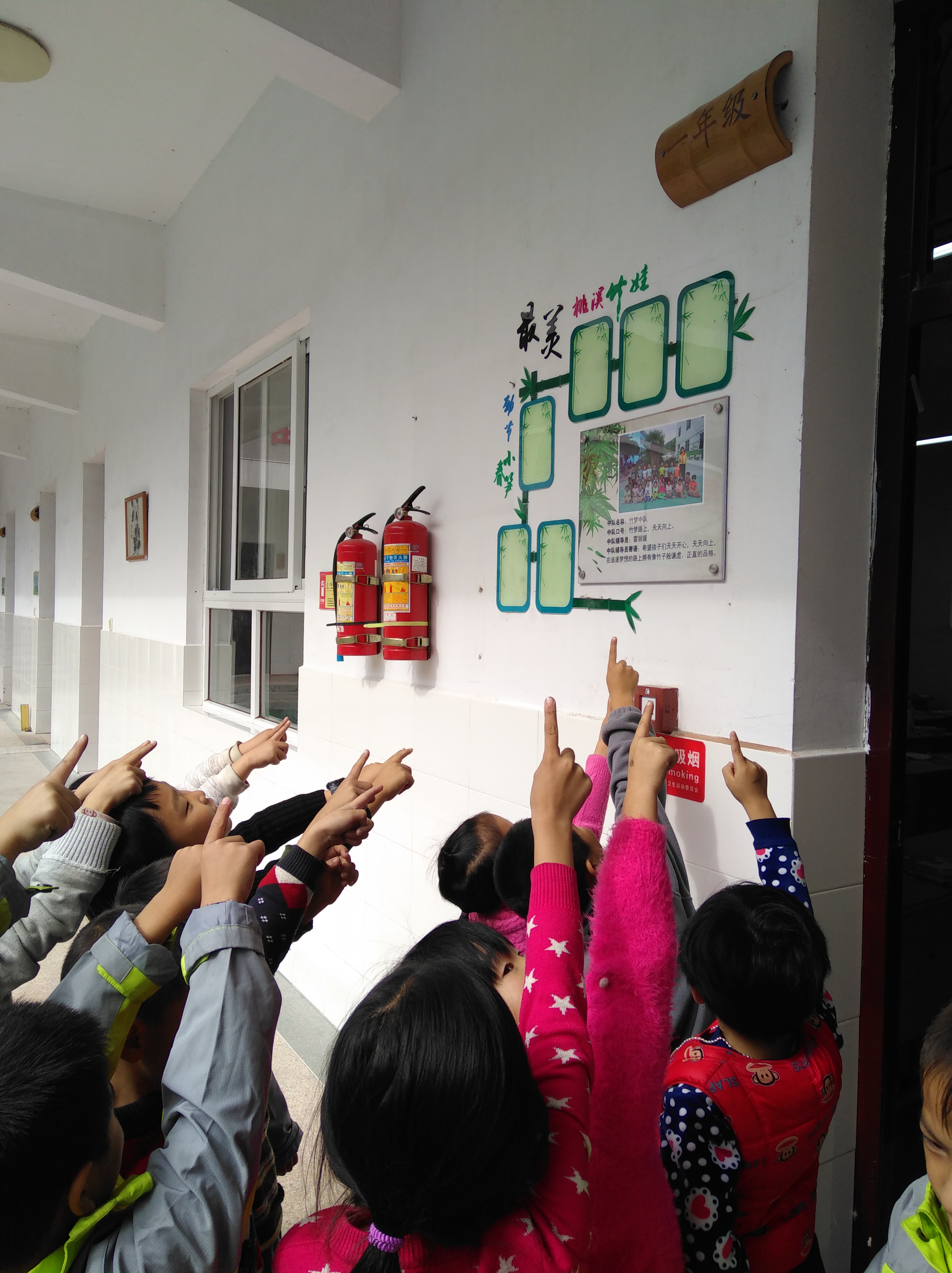 969afd9561784a5cb3d4105083ace013.jpg