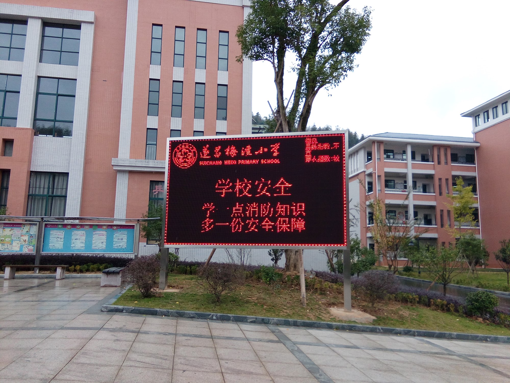 974425e37db84401b20445389697be98.jpg