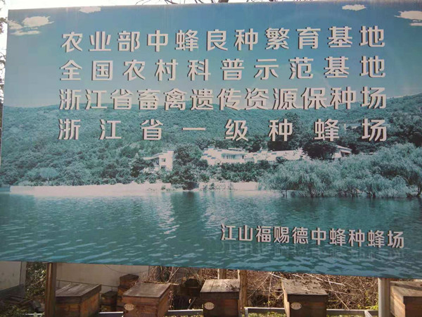 9aae276d4f2d421e9befd6330b3c39c6.jpg