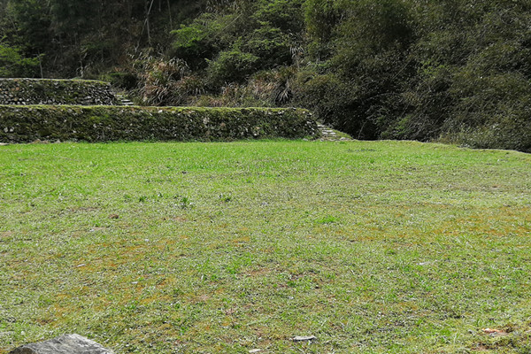 a1ddb7a47c7b4c609c76f5f8a04699cc.jpg