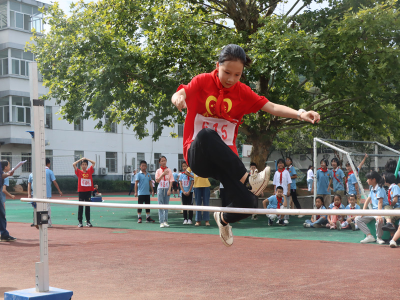 d475cc980a254fb49ab461efa10327a3.jpg