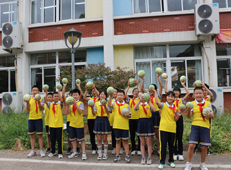 e63cbac24cbd4d529b610aff1d442a50.jpg