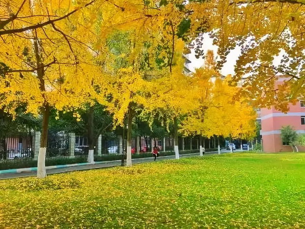 ecb6de5652f2453ba4d95d53e7c4ad04.jpeg