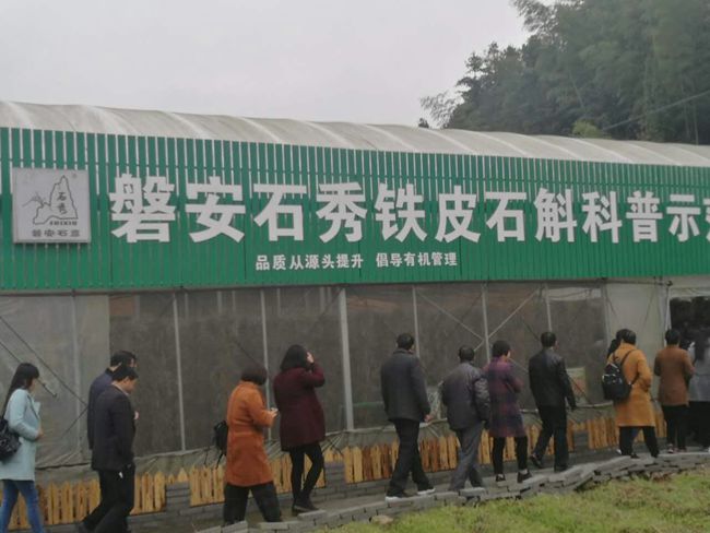 ecc0af632d54487abd60beb637103545.jpg