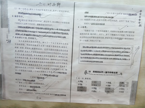 ffcafb2240614466bbe47f2ae57255c3.jpg